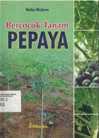 Bercocok Tanam Pepaya