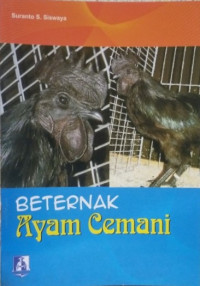 Image of beternak ayam cemani