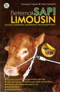 Image of beternak sapi limousin