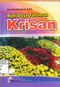 Budi Daya Tanaman Krisan