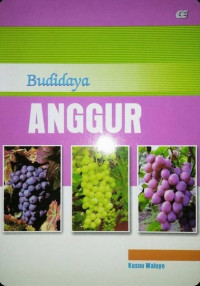 Budidaya Anggur