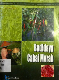 Budidaya Cabai Merah