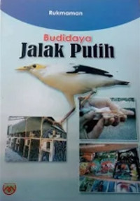 Budidaya Jalak Putih