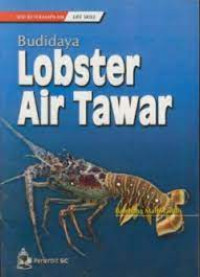 Budidaya Lobster Air Tawar