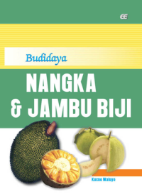 Budidaya Nangka & Jambu Biji