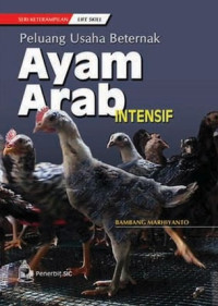 Peluang Usaha Beternak: Ayam Arab Intensif