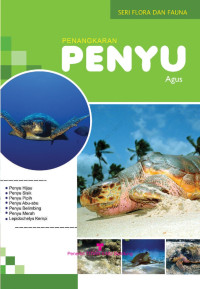 Image of penyu